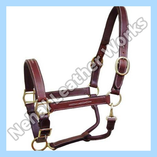 Horse Halters Suppliers