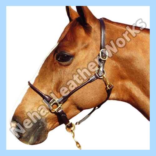 Horse Halters Suppliers