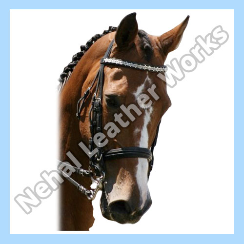 Horse Browbands Manufacturers