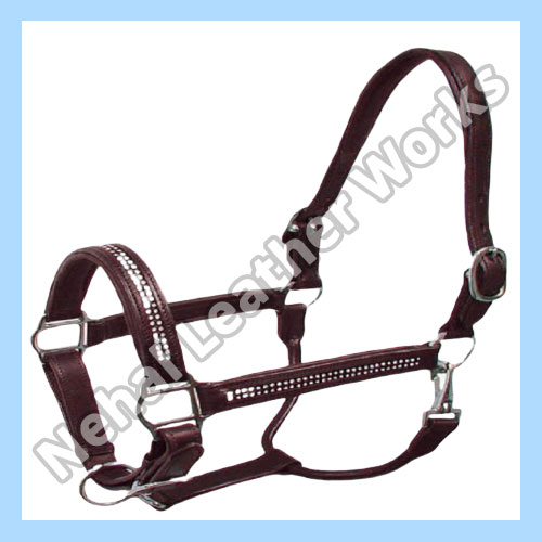 Horse Halters  In Portland